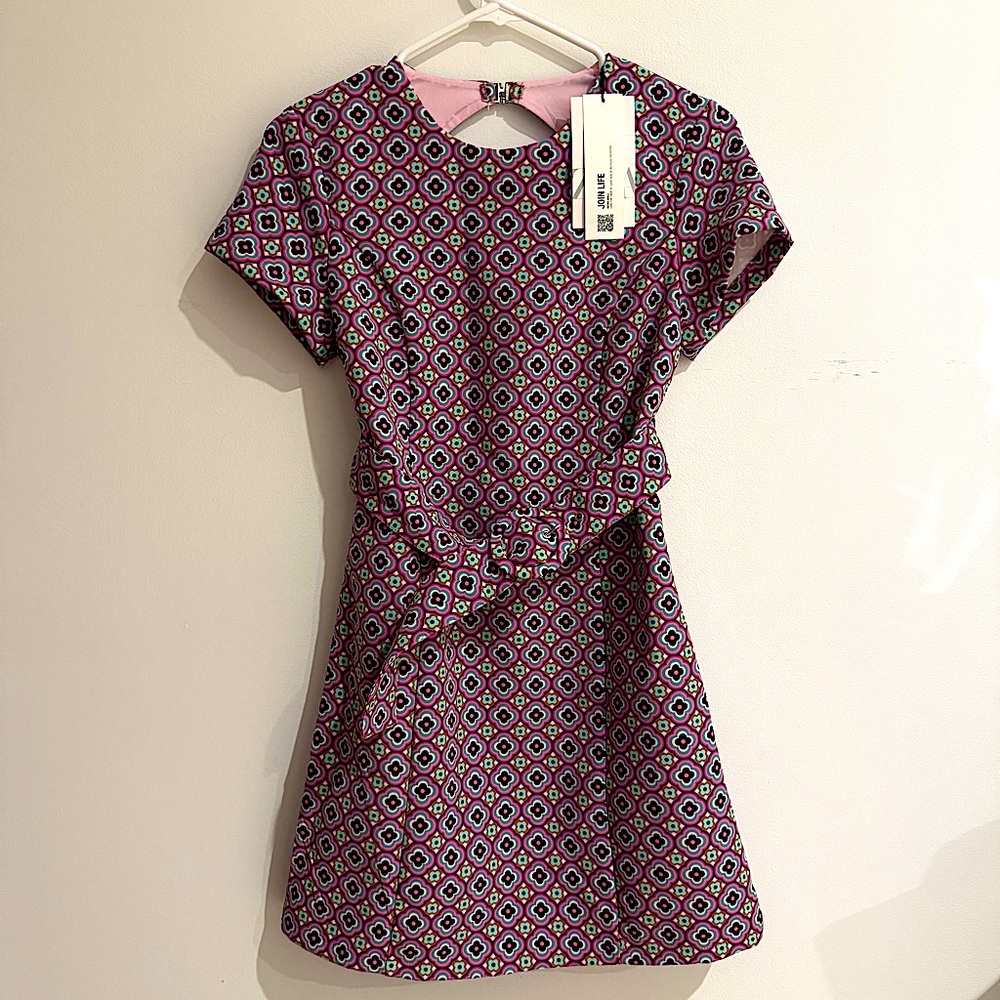 Zara Retro Dress